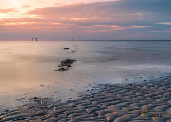 Appartement Bude 5 *